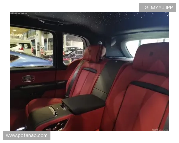 尊龙手机版客户端定期推送优惠活动，享受更多专属福利和惊喜礼遇