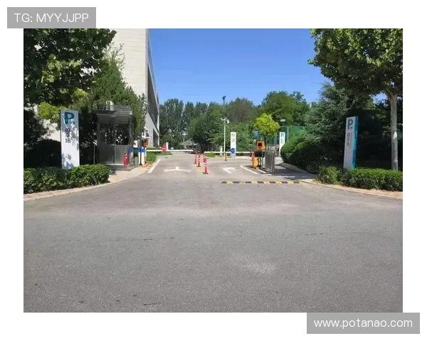 尊龙时凯平台入口:官方推荐的登录入口地址及安全保障措施介绍