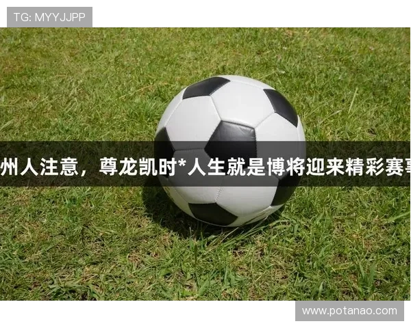 尊龙凯时人生就是博中国官网帮助玩家理解游戏中的经济系统与交易规则