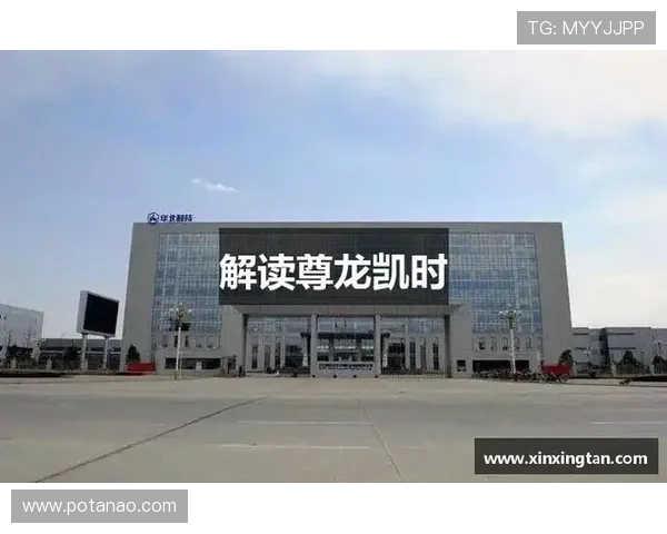 尊龙凯时地址登录入口官方最新入口，解决玩家登录难题提供详细操作指南